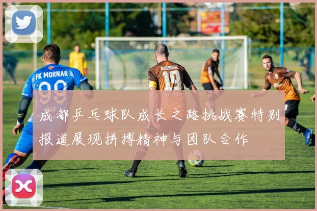 成都乒乓球队成长之路挑战赛特别报道展现拼搏精神与团队合作