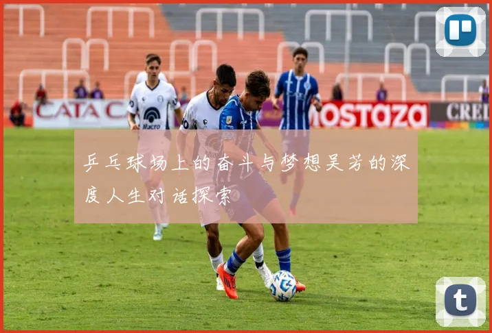 乒乓球场上的奋斗与梦想吴芳的深度人生对话探索