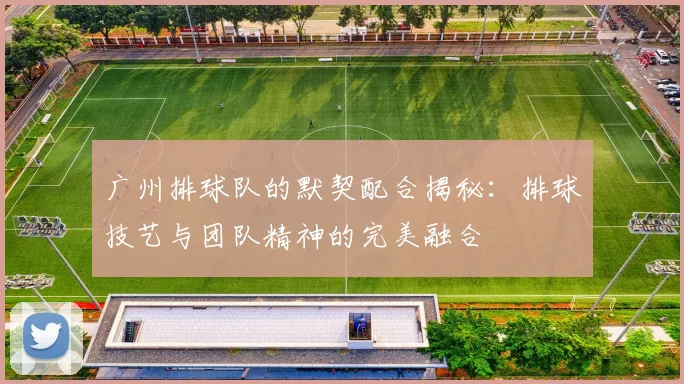 广州排球队的默契配合揭秘：排球技艺与团队精神的完美融合