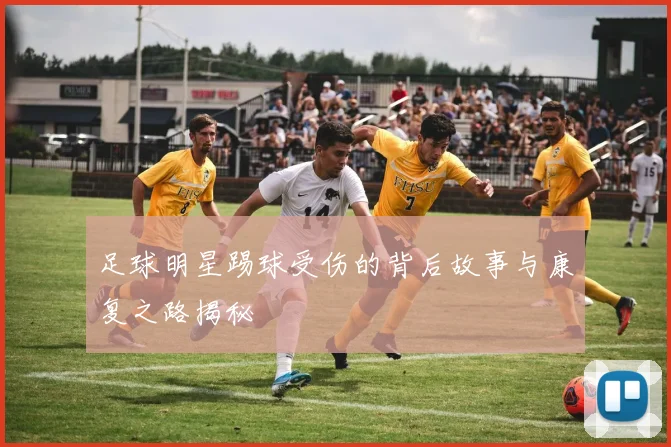 足球明星踢球受伤的背后故事与康复之路揭秘