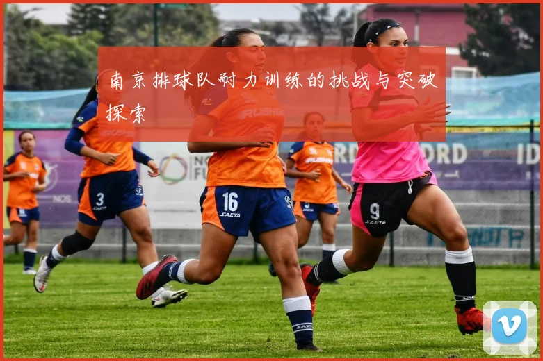 南京排球队耐力训练的挑战与突破探索