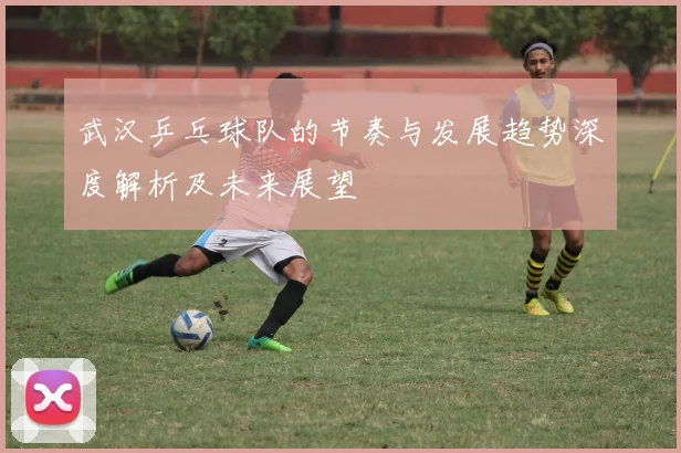 武汉乒乓球队的节奏与发展趋势深度解析及未来展望