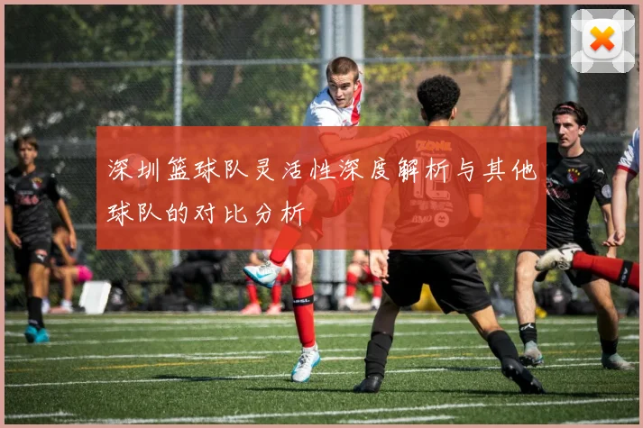 深圳篮球队灵活性深度解析与其他球队的对比分析