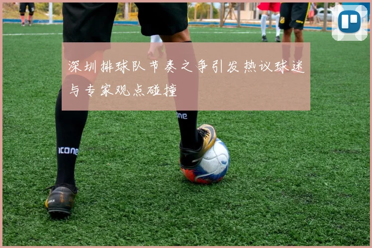 深圳排球队节奏之争引发热议球迷与专家观点碰撞