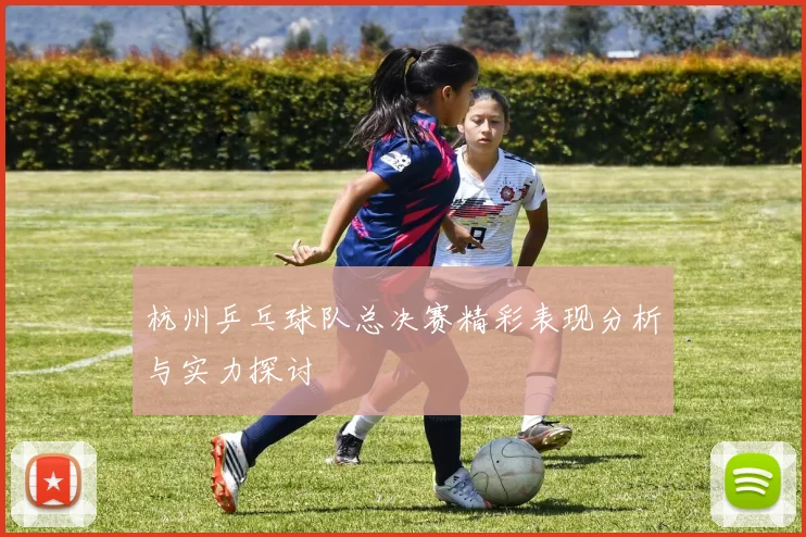 杭州乒乓球队总决赛精彩表现分析与实力探讨