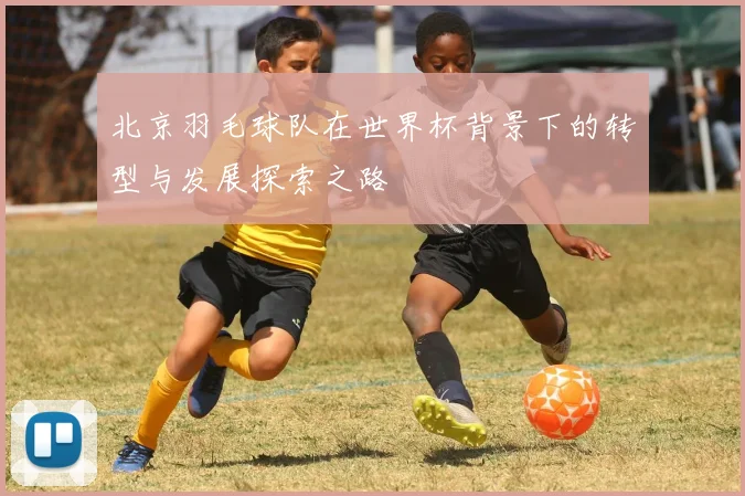 北京羽毛球队在世界杯背景下的转型与发展探索之路