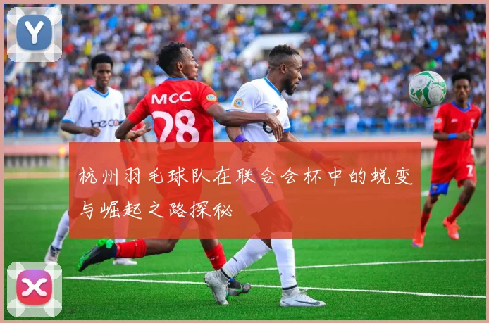 杭州羽毛球队在联合会杯中的蜕变与崛起之路探秘