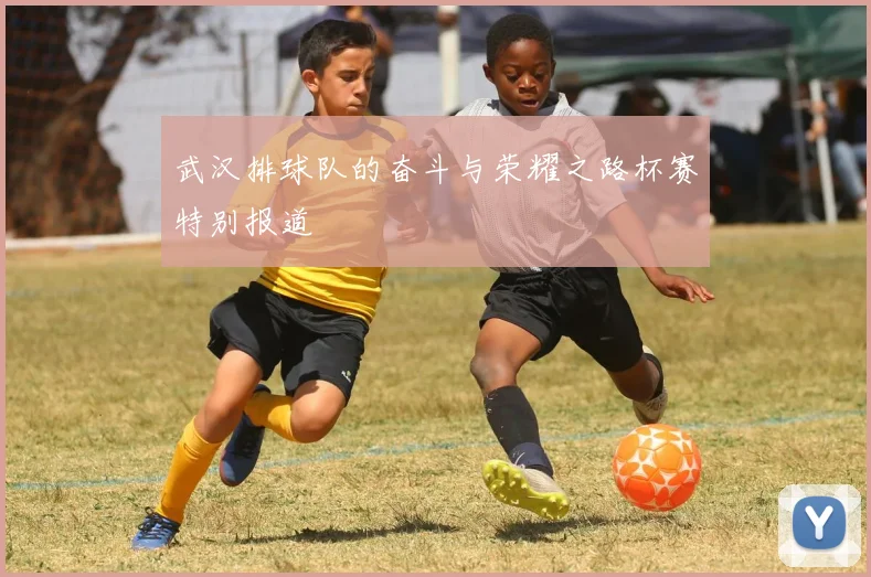 武汉排球队的奋斗与荣耀之路杯赛特别报道