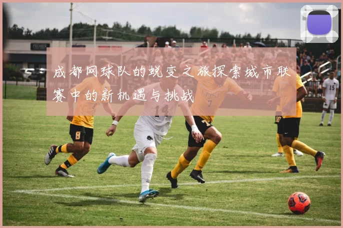 成都网球队的蜕变之旅探索城市联赛中的新机遇与挑战