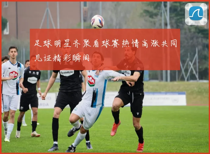 足球明星齐聚看球赛热情高涨共同见证精彩瞬间