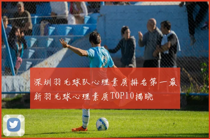 深圳羽毛球队心理素质排名第一最新羽毛球心理素质TOP10揭晓