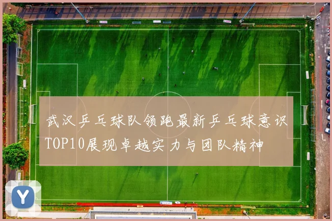 武汉乒乓球队领跑最新乒乓球意识TOP10展现卓越实力与团队精神