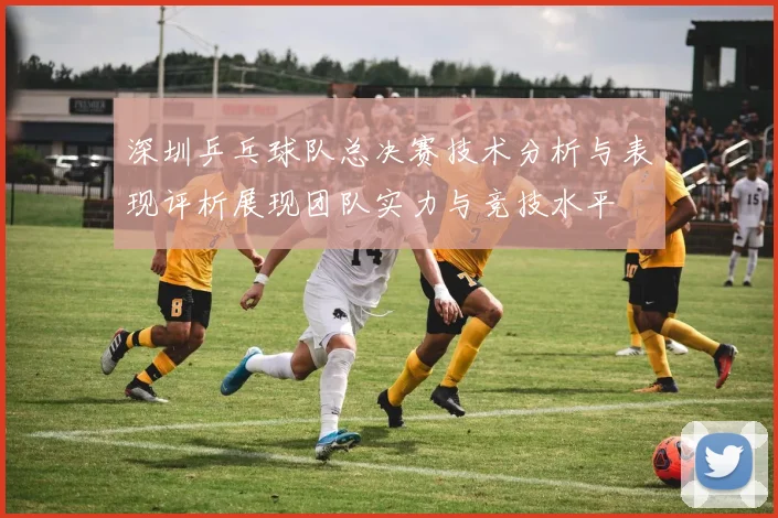 深圳乒乓球队总决赛技术分析与表现评析展现团队实力与竞技水平