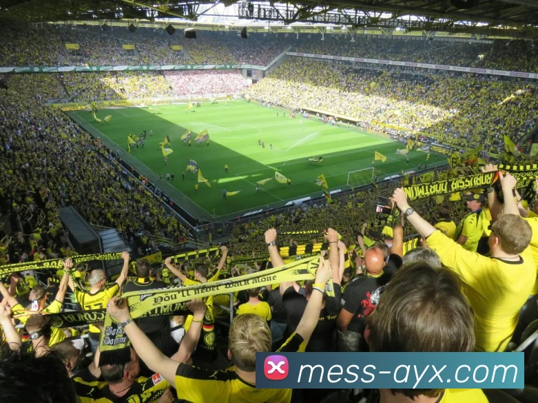 爱游戏发展历程